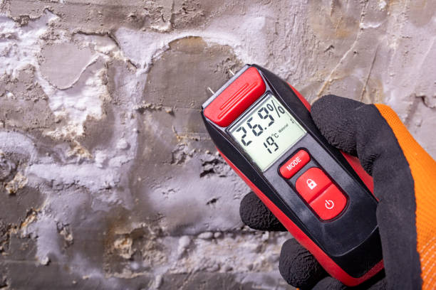 Mold Removal Process in Navassa, NC