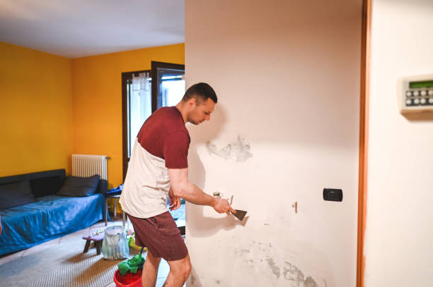 Best Certified Mold Removal  in Navassa, NC